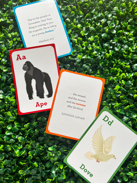 Bible Animal Flash Cards